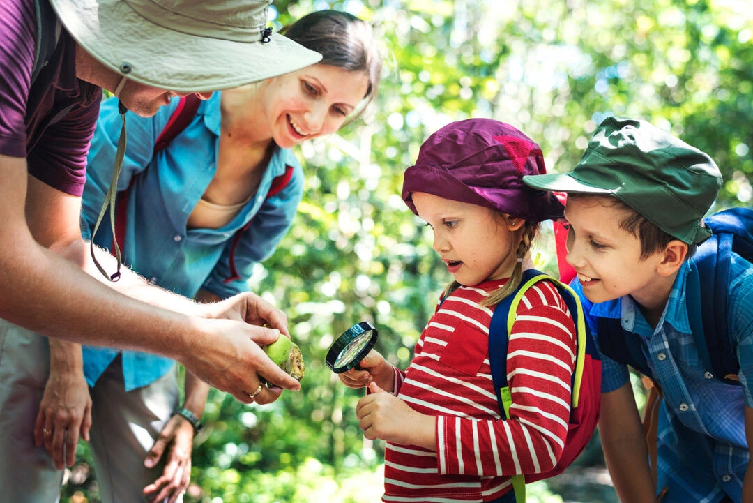 Family explores a lush forest, promoting eco-friendly adventure and environmental learning.