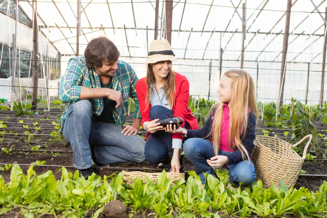 Family harvesting fresh produce, showcasing farm-to-table experiences.